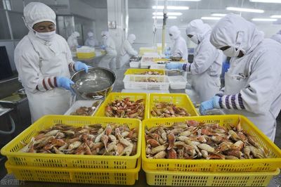 水產(chǎn)品加工廢水治理 兩種高效工藝應(yīng)對每日300噸不達標(biāo)排放