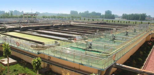 走進(jìn)臨清污水處理廠 探秘污水“變清”的神奇旅程