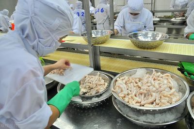 海產(chǎn)品加工企業(yè)如何從三個關(guān)鍵方面選擇污水處理站方案